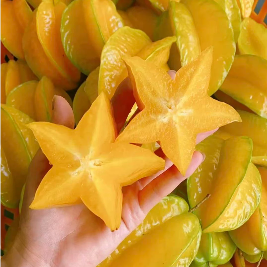 【杨桃】原箱杨桃净重2斤 顺丰包邮福建省