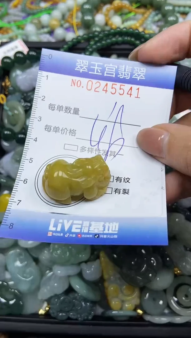 颈饰未镶嵌翡翠闪购C0245541