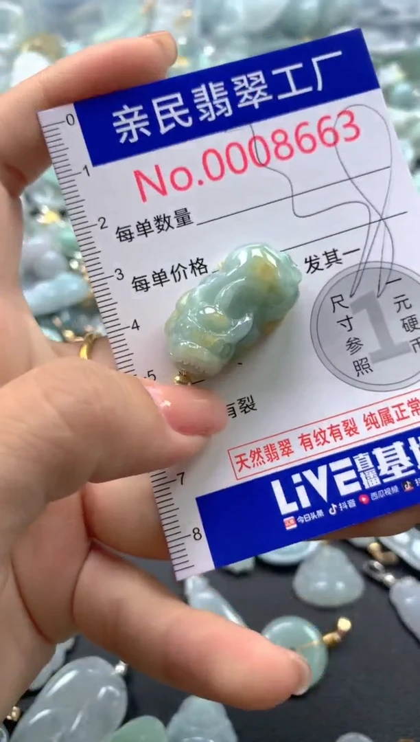颈饰未镶嵌翡翠8663