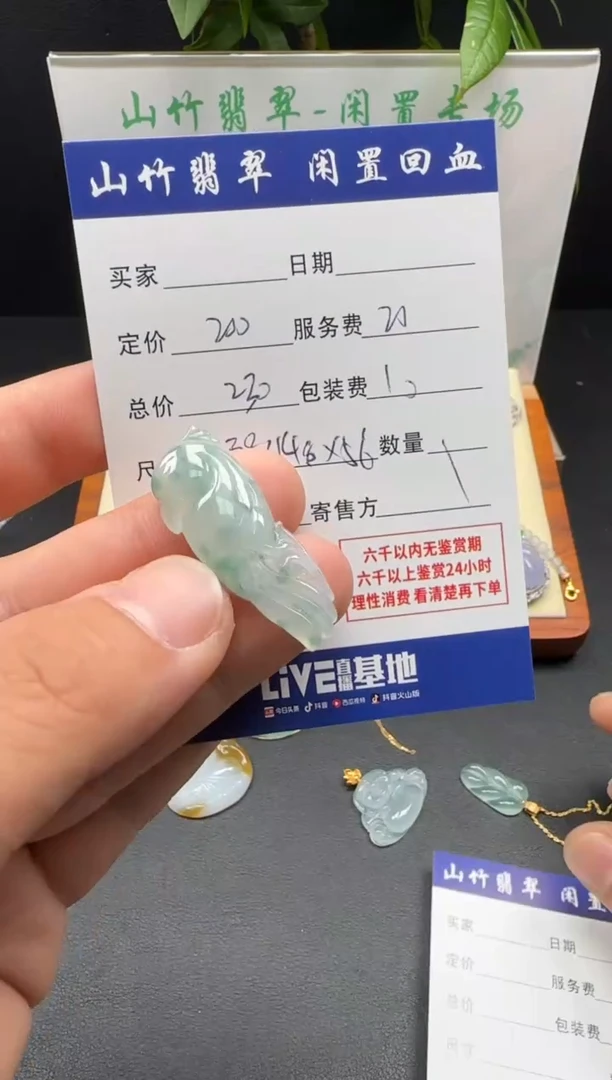 颈饰未镶嵌翡翠3002404