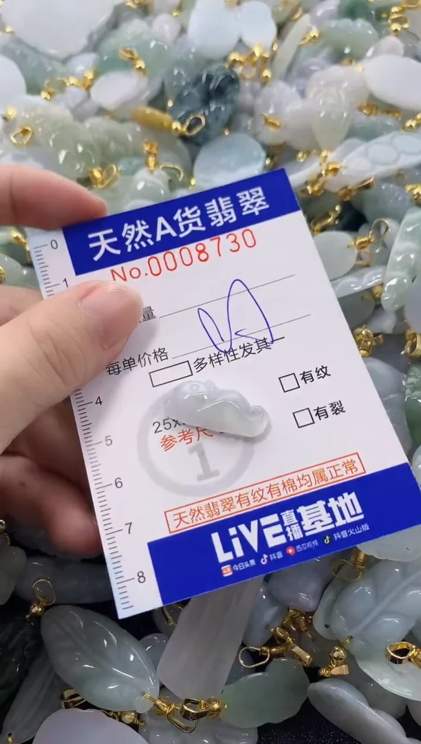 颈饰未镶嵌翡翠天然A货翡翠
