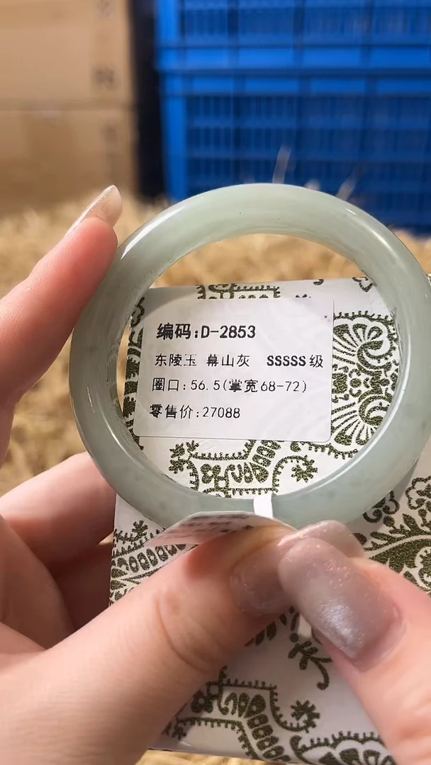 未镶嵌手镯石英质玉D2853
