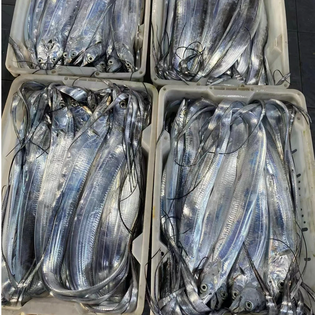 【大号】青岛油带鱼 刀鱼 5-6两/条 4斤7-8条鱼 3指宽 无破肚整条发