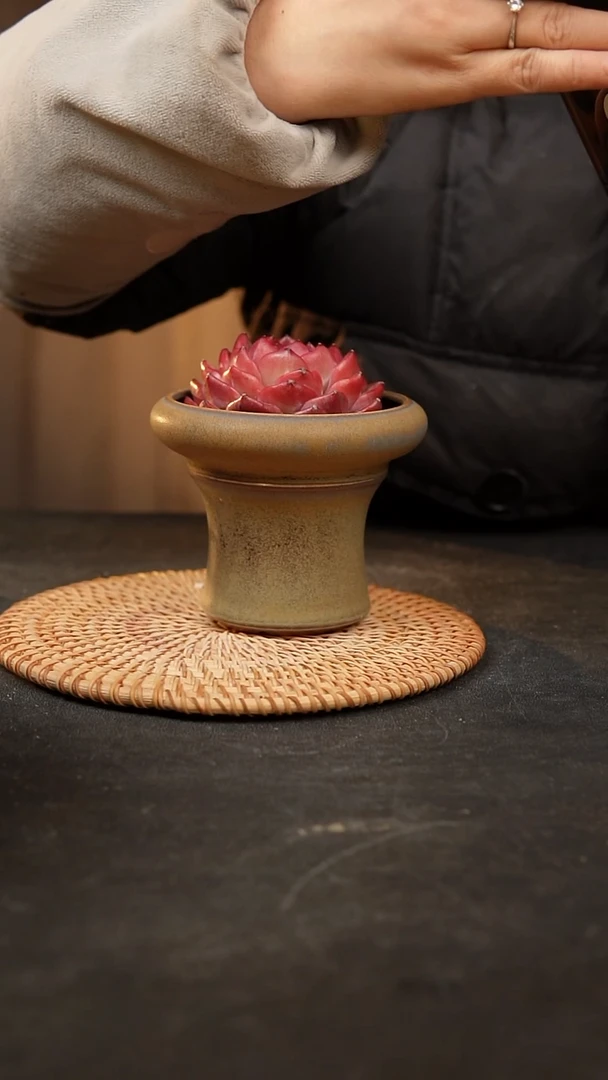 【闪购商品】瓷片泥泥手工花盆口9