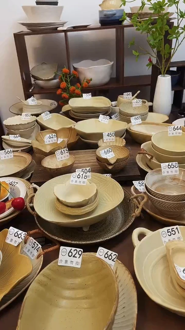 瓷片S*y粗陶瓷器618+655