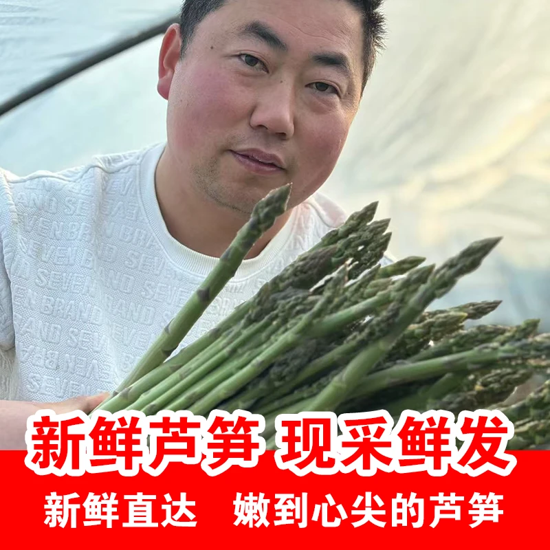 新鲜芦笋 小笋 全嫩 轻微散头不影响食用