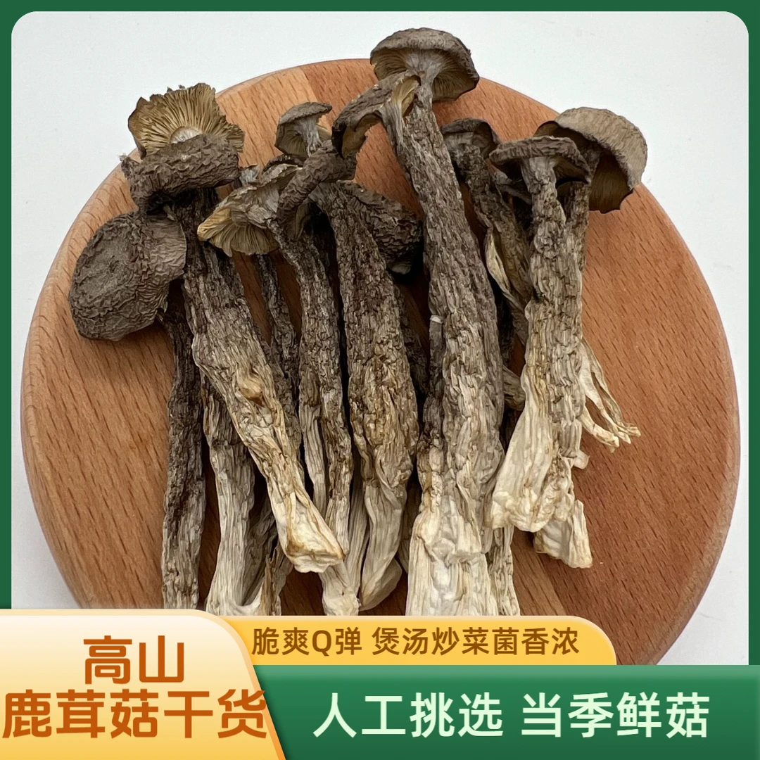 黄水源味高山鹿茸菇精品农特产干货125g*2袋干货凉拌炒肉煲汤A