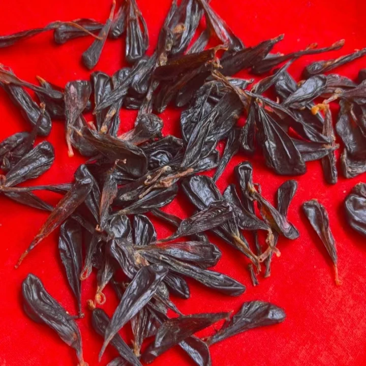 云南深山【蛇，胆】高原传统滋补农产品20个