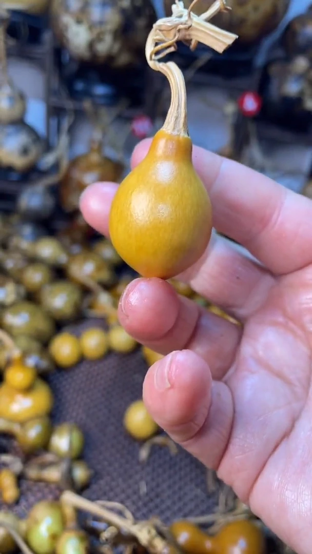 【闪购商品】葫芦葫芦葫芦葫芦葫芦