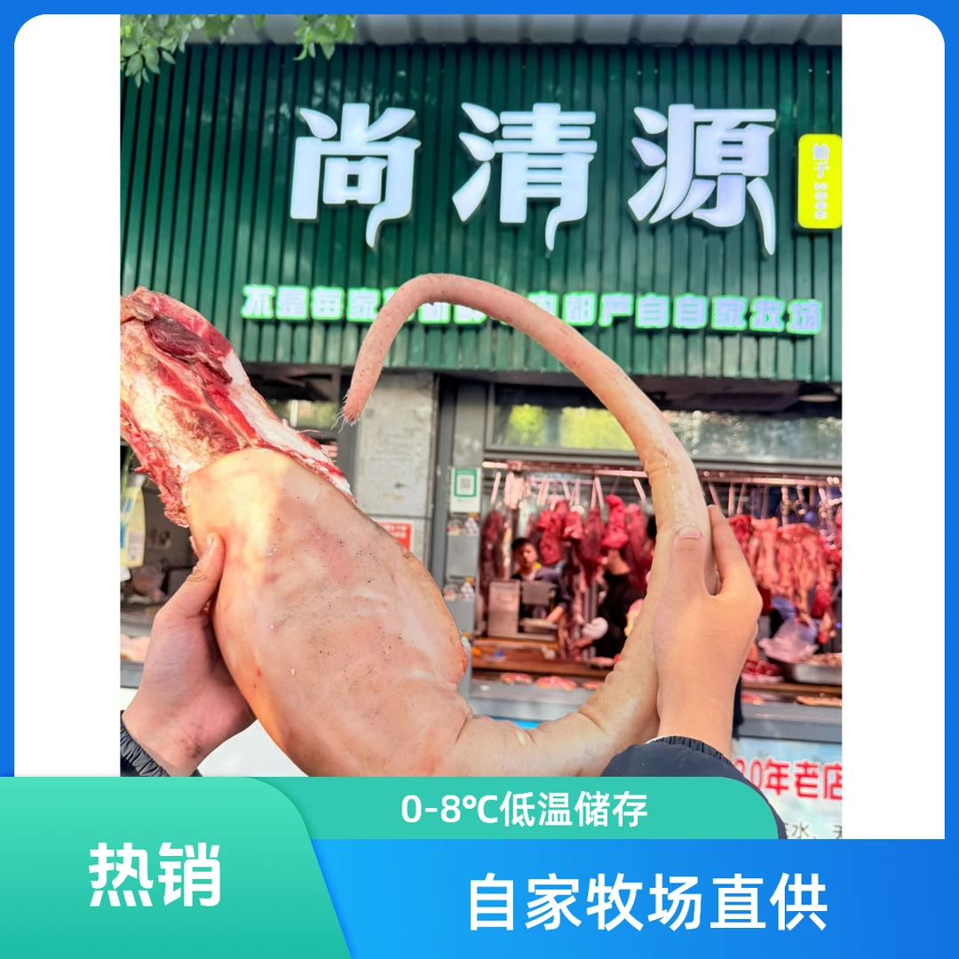 尚清源臻选牛尾（炖汤）4kg