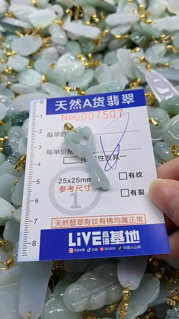 颈饰未镶嵌翡翠纯天然a货翡翠