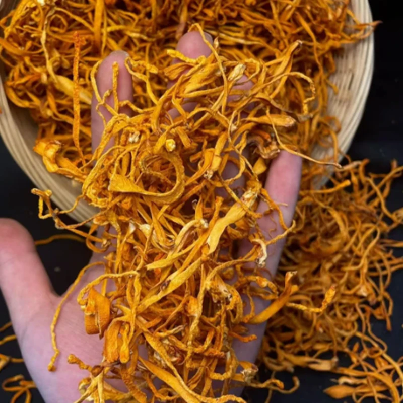 云南农家【虫草花】干货煲汤炖肉