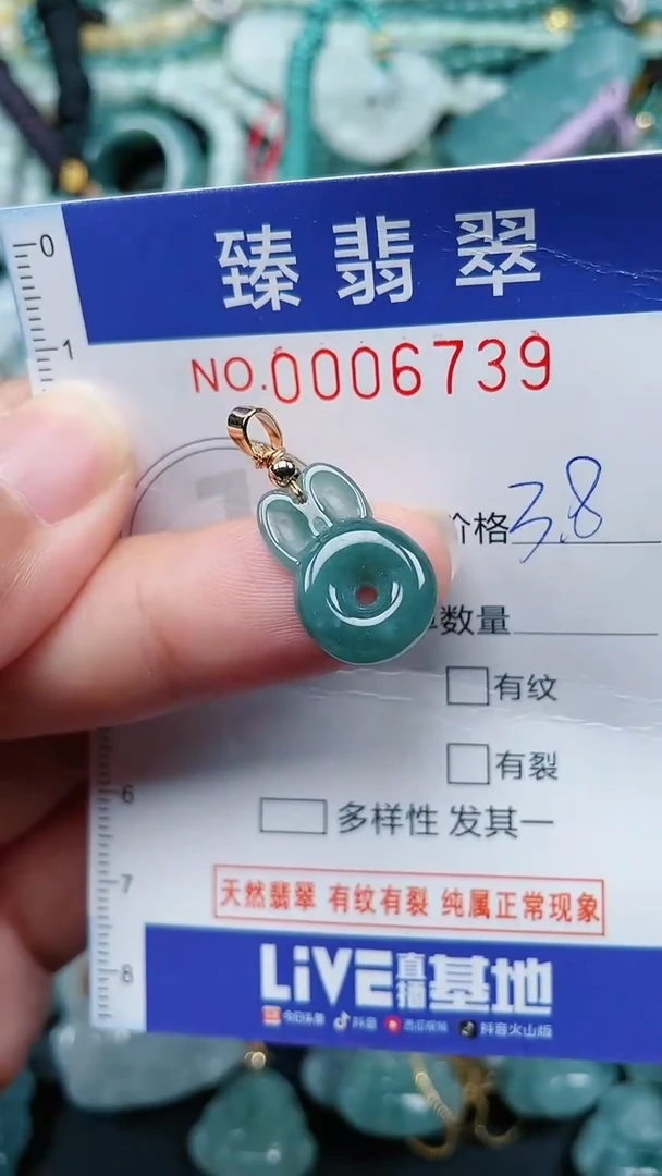 颈饰未镶嵌翡翠.0006738