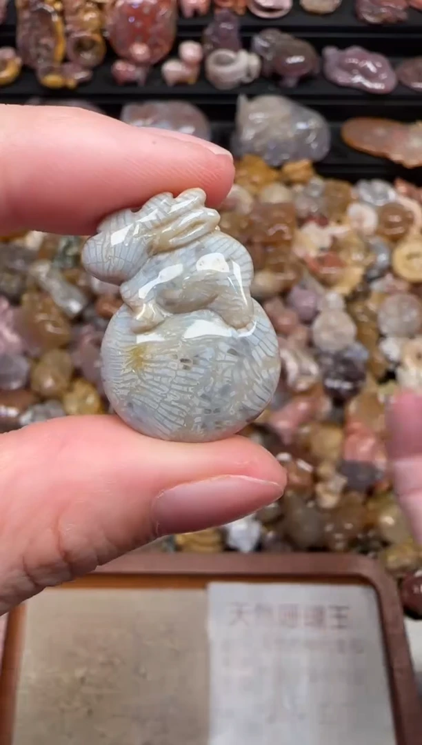 颈饰未镶嵌硅化珊瑚（珊瑚玉）067