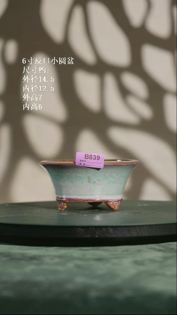 6寸反口小圆盆839