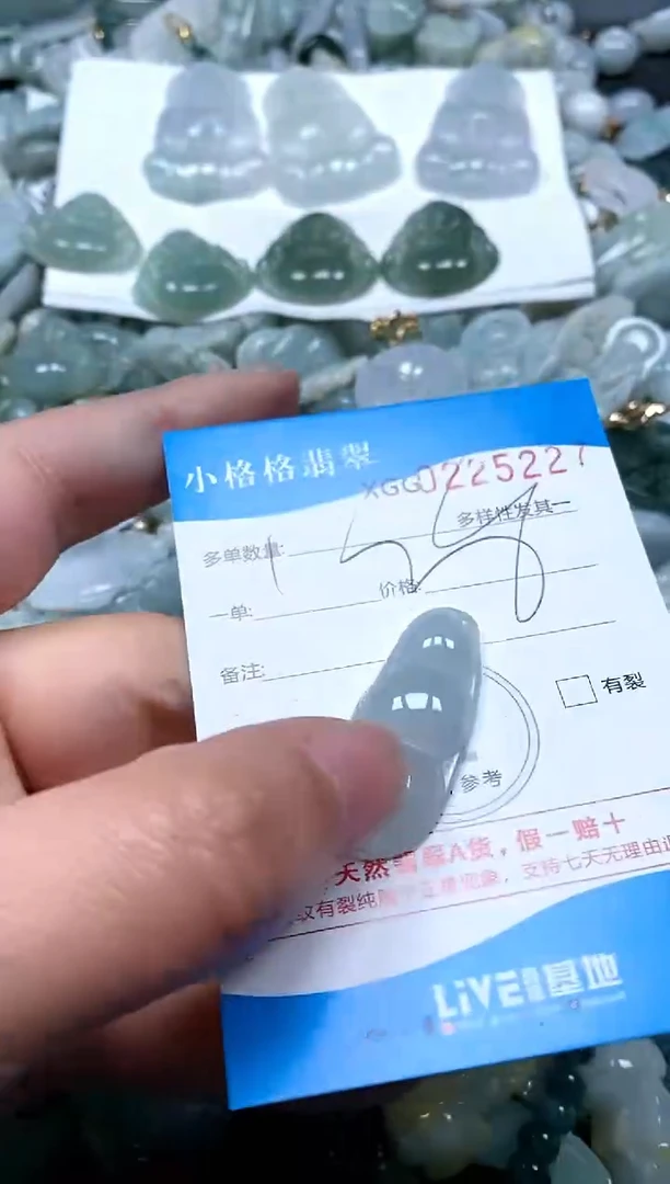 【闪购商品】翡翠颈饰未镶嵌闪购商品0225227