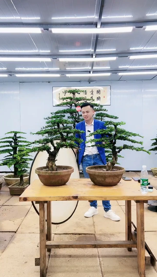 T***手000000000000000000