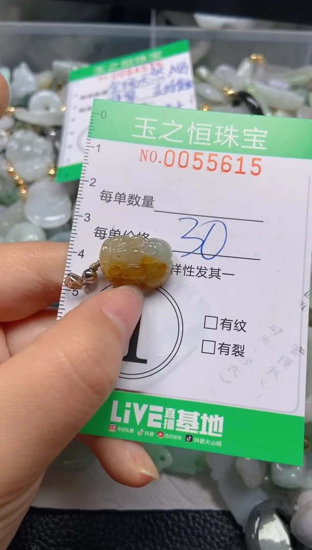 【闪购商品】翡翠未镶嵌颈饰闪购0055615