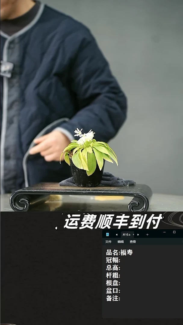 【闪购商品】20  福寿
