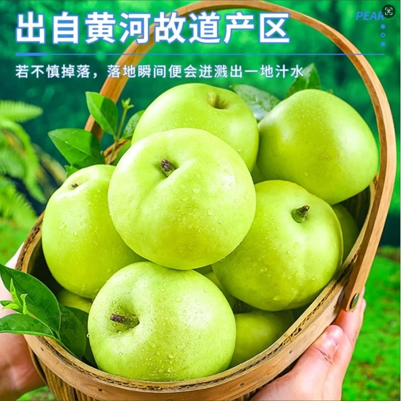 新鲜砀山酥脆一号翠冠青皮密梨脆甜多汁薄皮酥梨当季水果