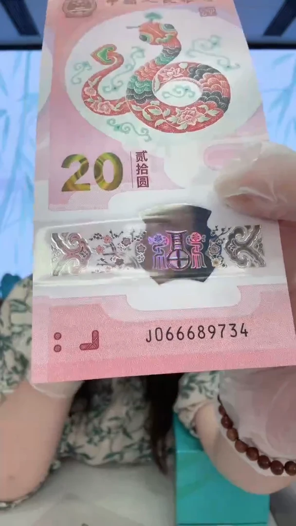 塑料蛇钞066689734