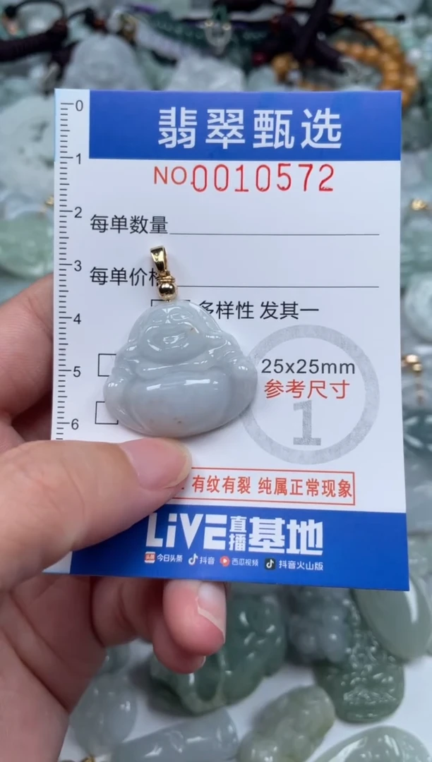 颈饰未镶嵌翡翠10572