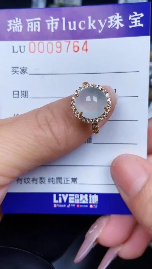 翡翠银S925镶嵌颈饰9764