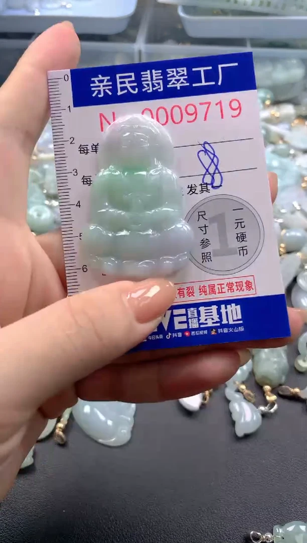颈饰未镶嵌翡翠9719