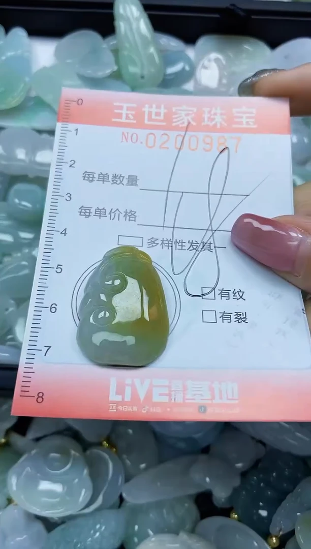 【闪购商品】翡翠颈饰未镶嵌闪购0200987