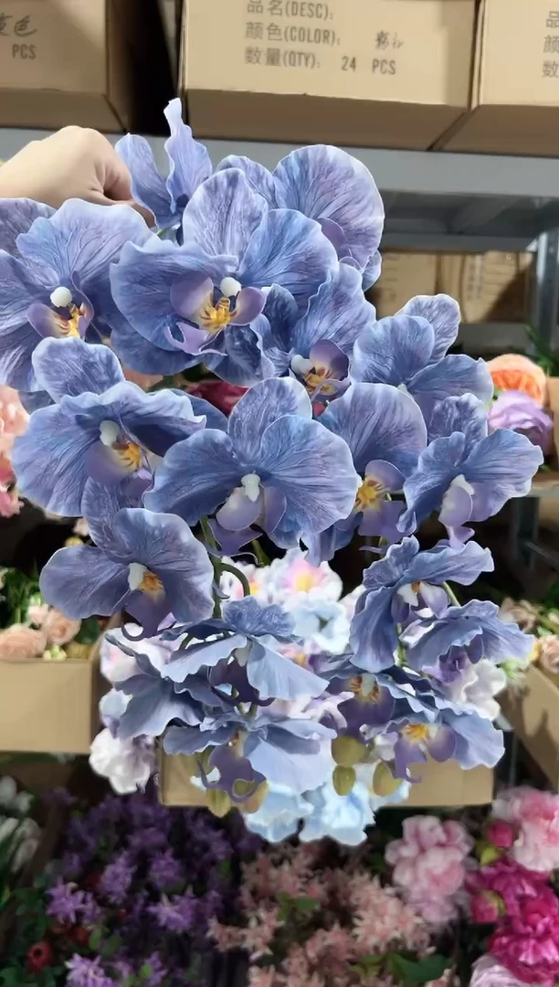 2枝紫色9头蝴蝶兰