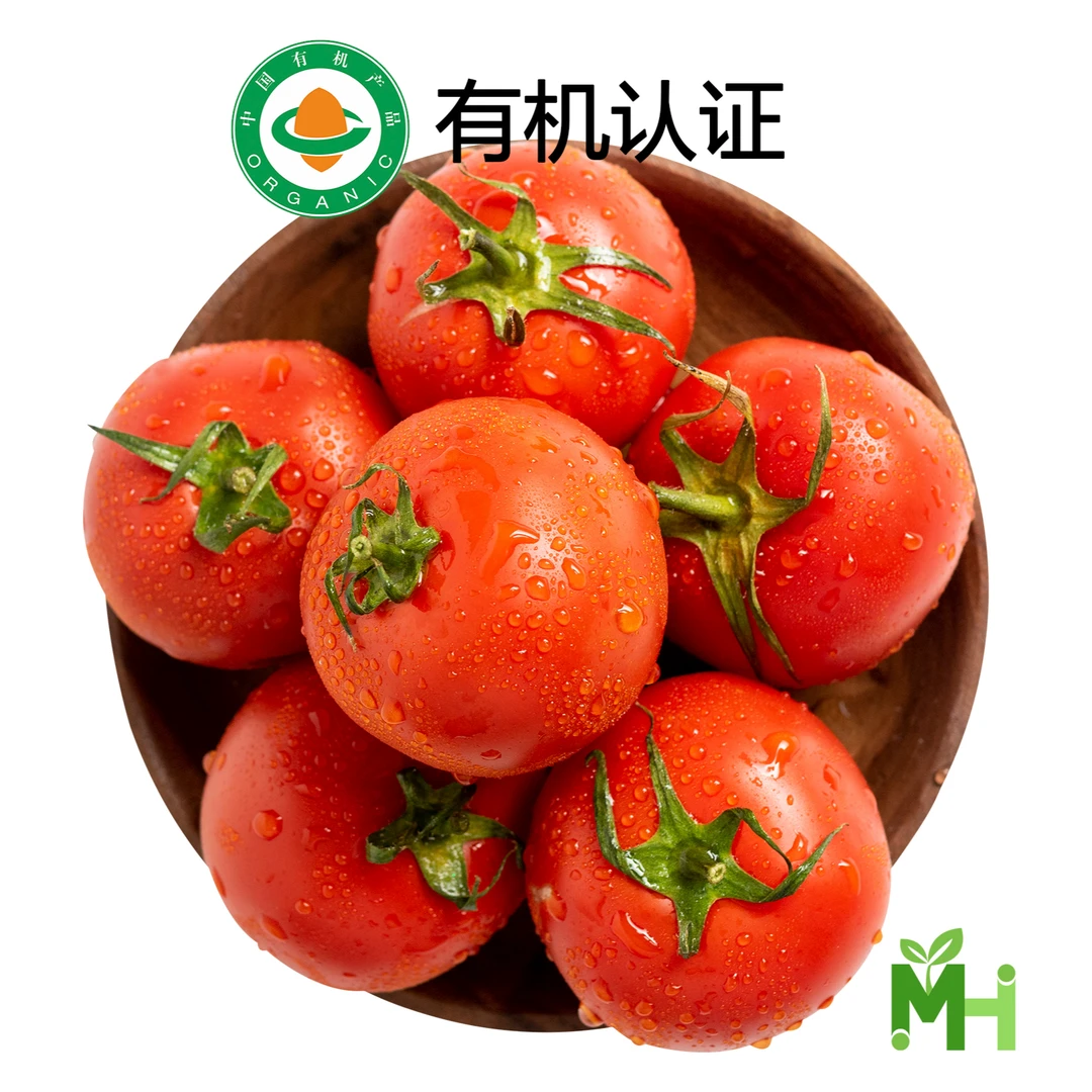 有机番茄西红柿900g装