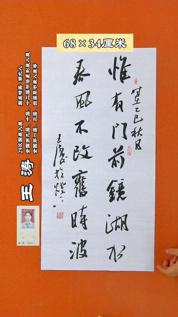 书法87R王涛书法作品