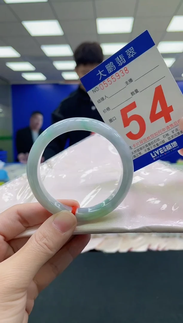 未镶嵌手镯翡翠AAAAAAAAA