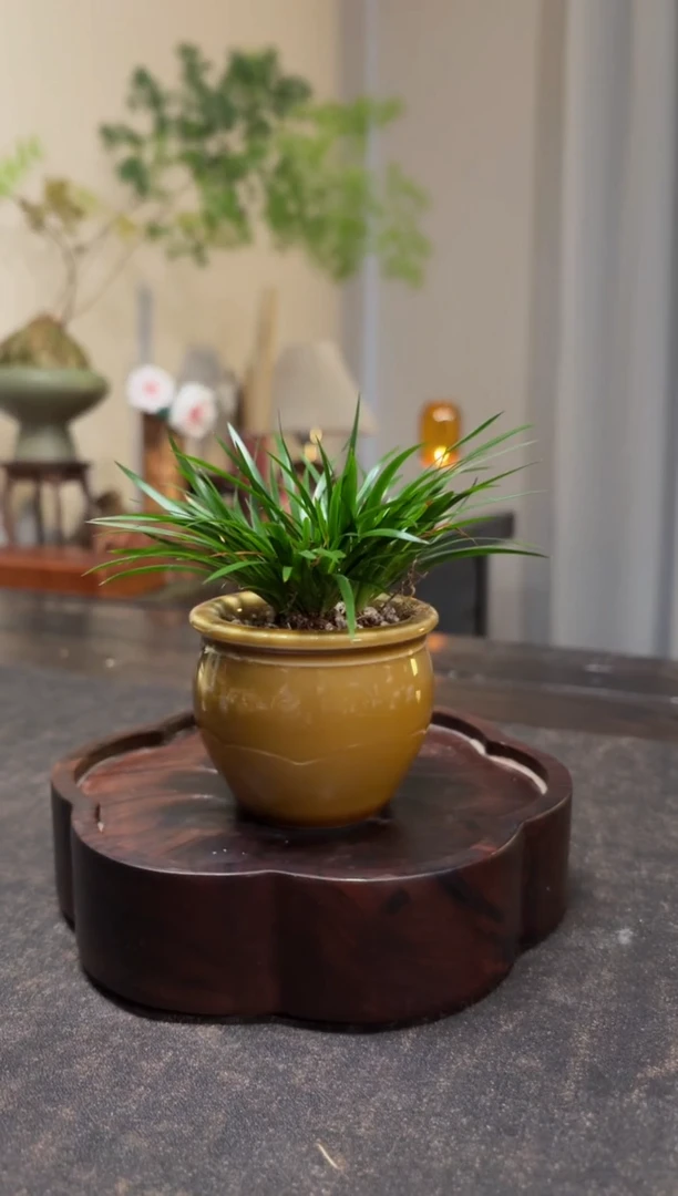 瓶插花陶瓷小花瓶中式小摆件（不含花）