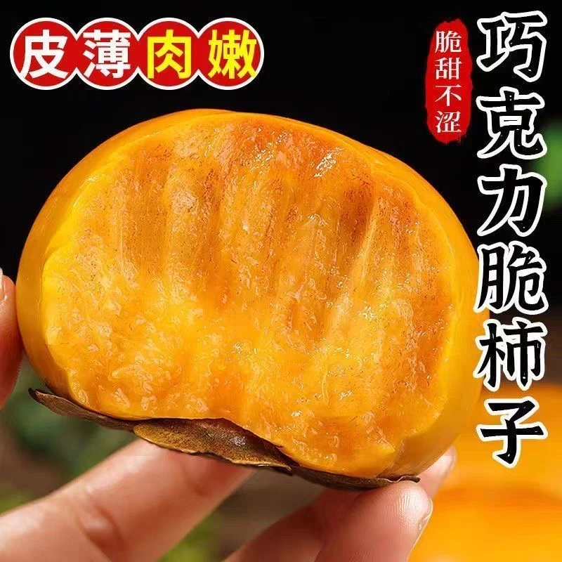 Q广西巧克力脆柿新鲜现摘现发应季水果脆甜多汁
