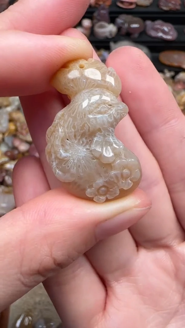 颈饰未镶嵌硅化珊瑚（珊瑚玉）555
