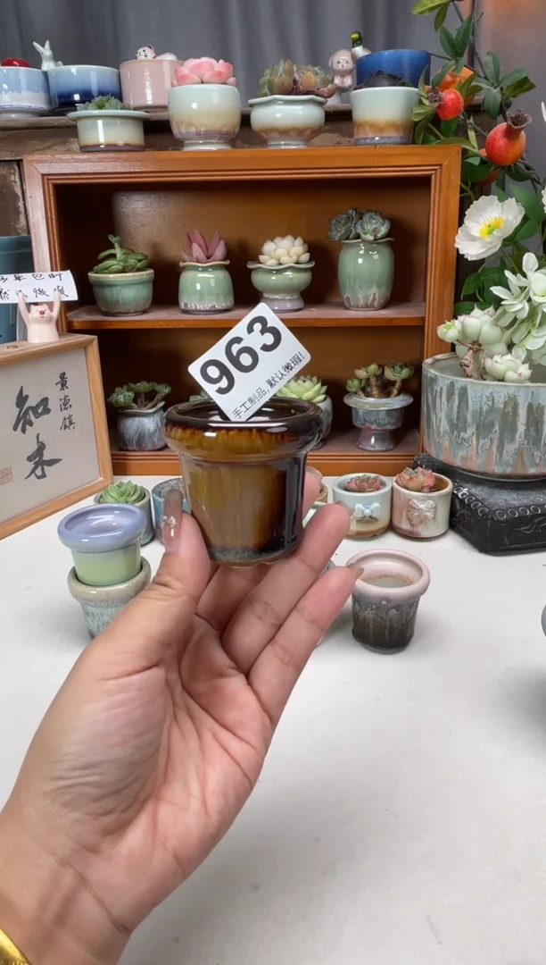 瓷片两***苗963知木小芳花盆