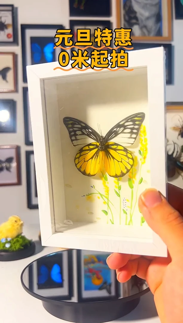 有机玻璃7863768758