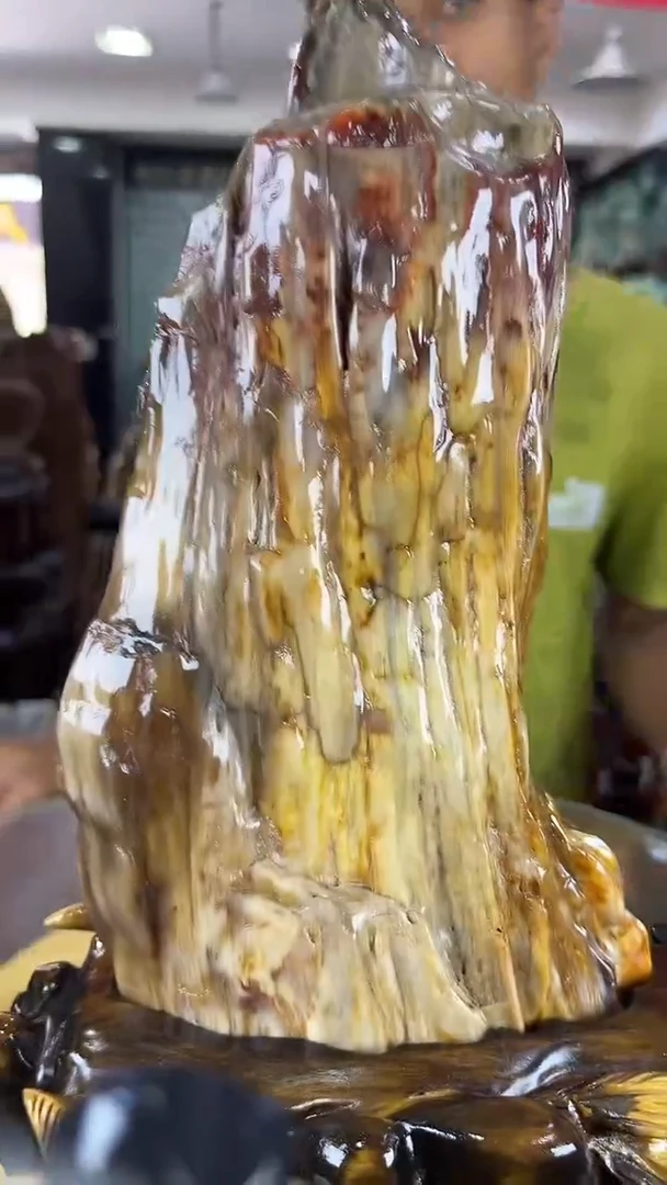 未镶嵌珠宝奇石硅化玉缅甸天然树化玉摆件