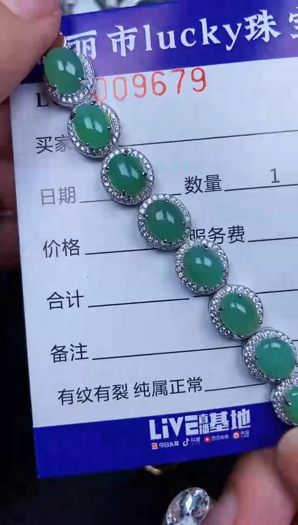 翡翠银S925镶嵌颈饰9679