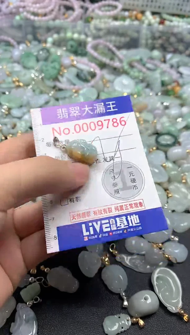 翡翠未镶嵌吊坠(不含链)9786