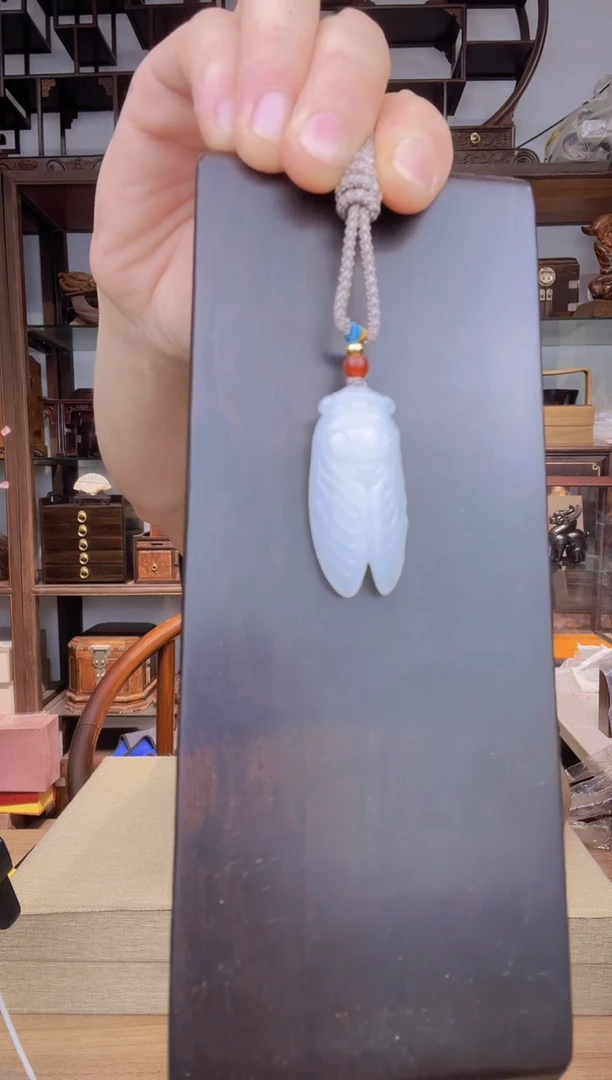 707一物一拍 知了挂件