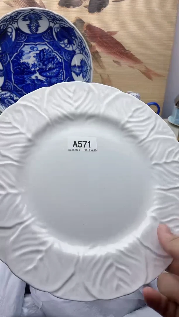 瓷片571