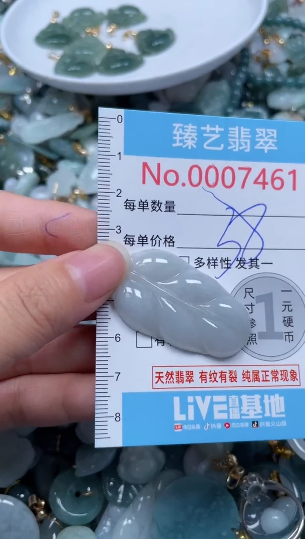 颈饰未镶嵌翡翠7461