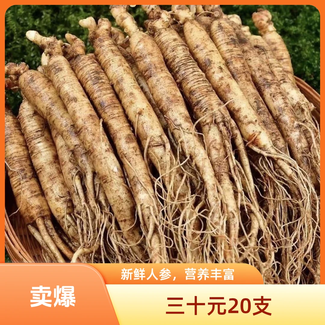 长白山鲜人参青苔保温箱产地直销现场发货