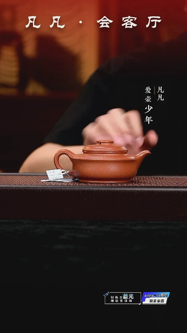 凡凡会客厅 潘俊昌紫砂壶45 忘忧降坡泥210cc
