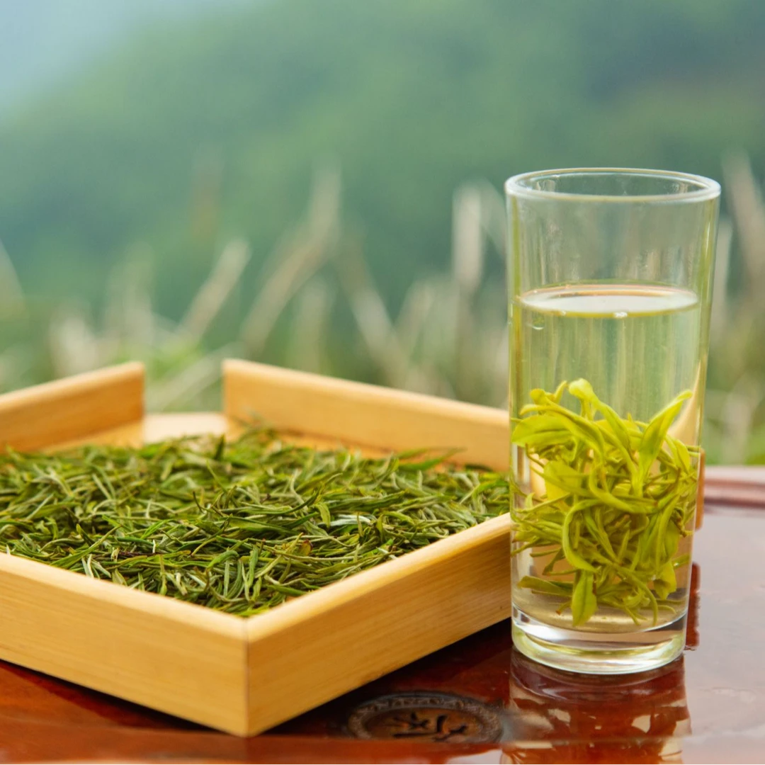 【顺丰包邮】贵州2025明前新茶安吉白茶高山云雾茶