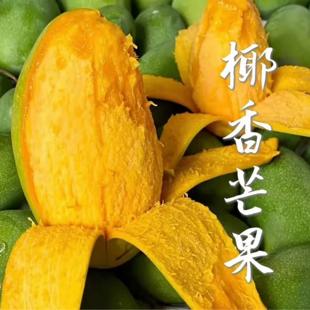 四川攀枝花椰香芒果澳芒鸡蛋芒当季水果新鲜整箱现摘现发口感细腻