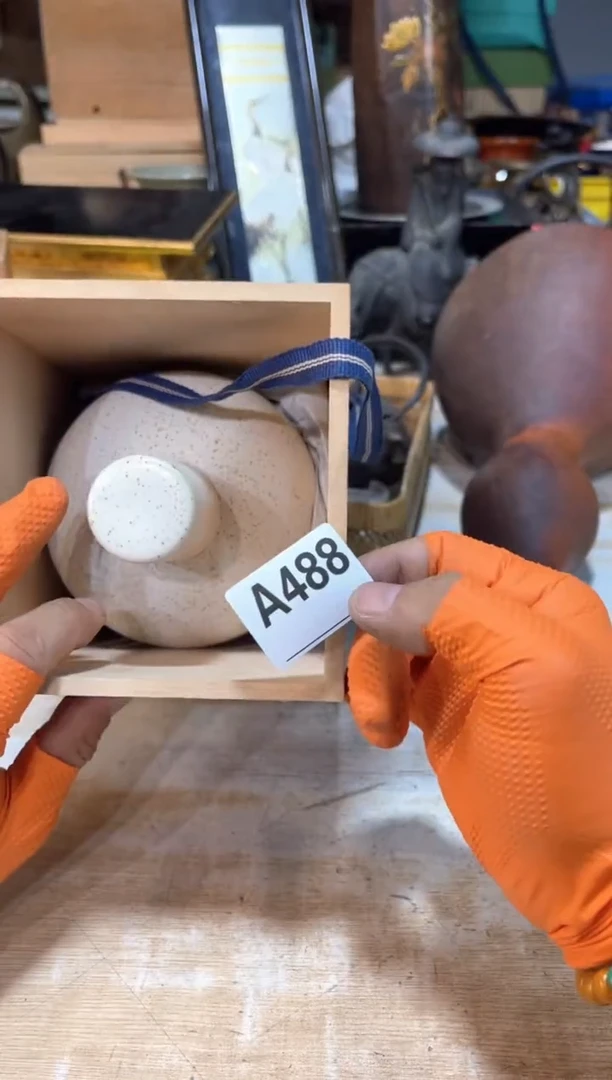 y**g直播定闪专用链接