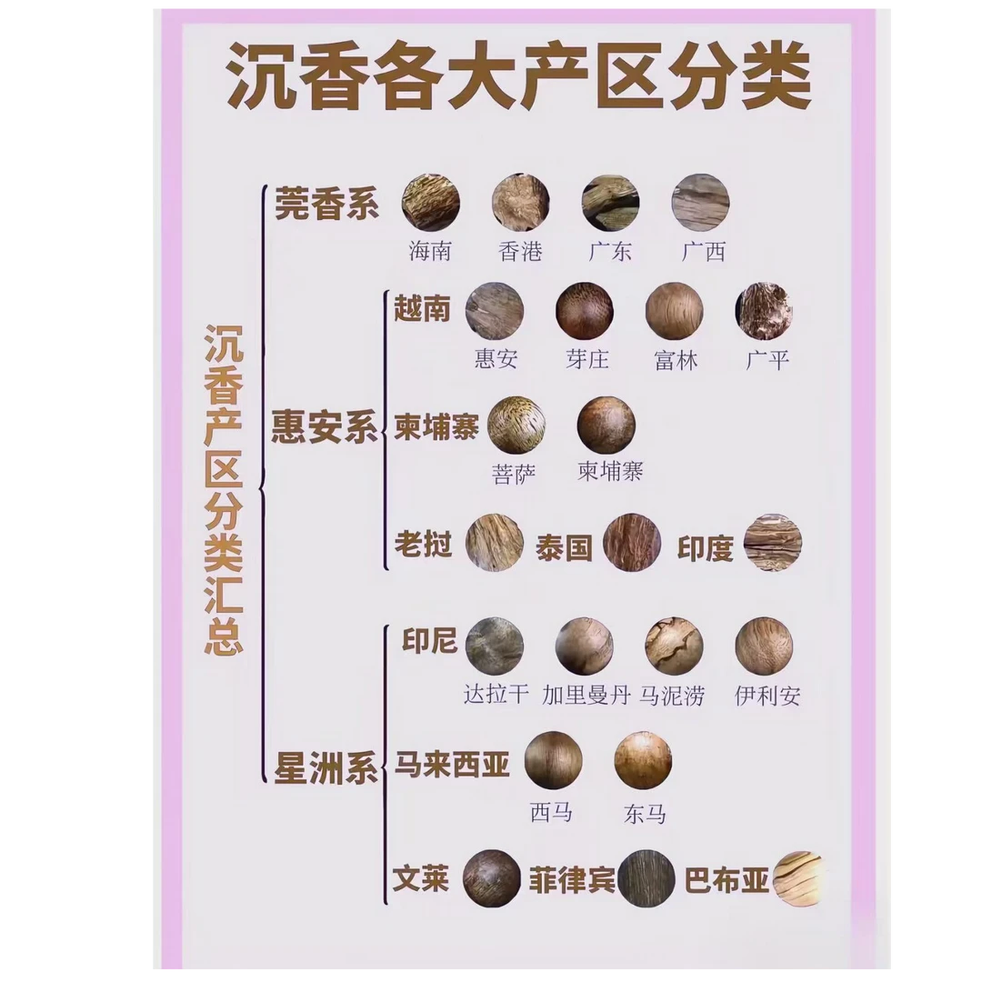 沉香蚁王--精品精选好物02